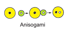 anisogami